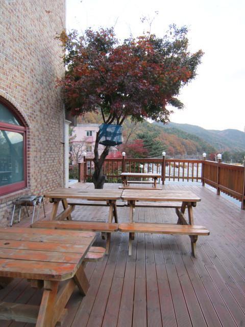 Songwol Park Motel Szokcsho Kültér fotó
